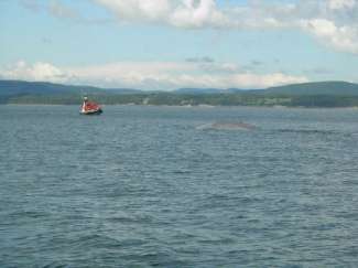 tadoussac 161.jpg